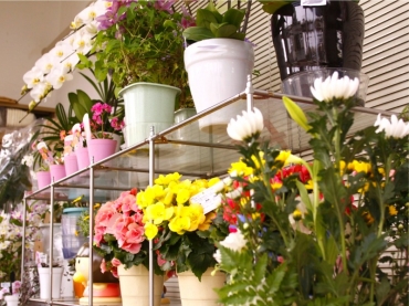 「フラワー花よし」　（石川県輪島市）の花屋店舗写真2